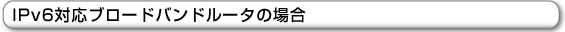 IPv6Ήu[hoh[^̏ꍇ