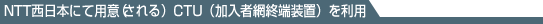 NTT{ɂėpӁijCTUiҖԏI[uj𗘗p